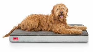 Brindle Waterproof Designer Memory Foam Pet Bed
