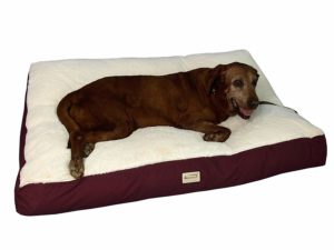 Armarkat Pet Bed Mat